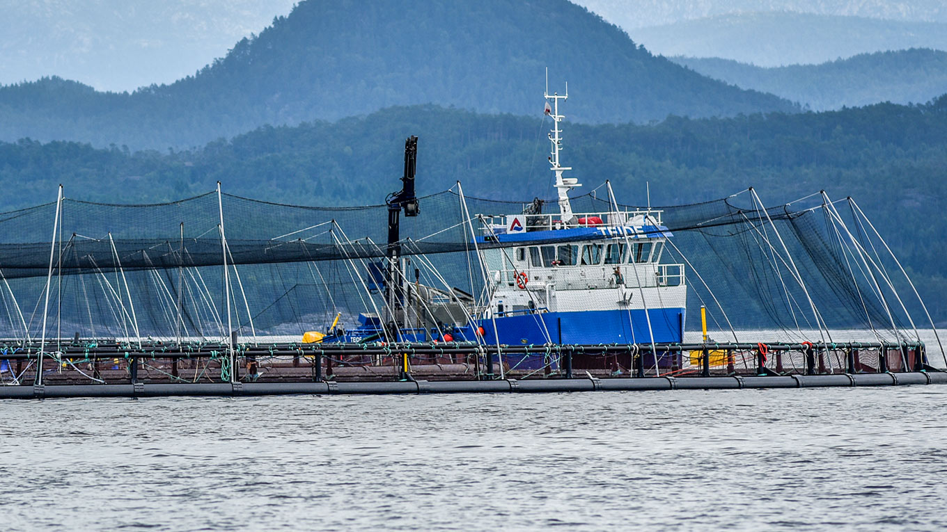 Fish Farm Location Vessel